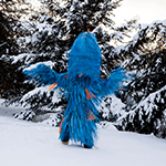 Travelling Lights - Meryl McMaster