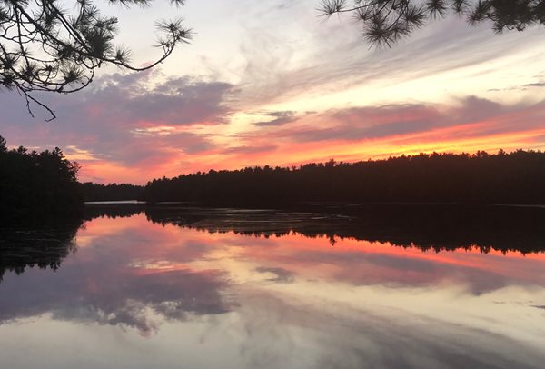 Arbres se reflétant dans un lac au coucher du soleil.